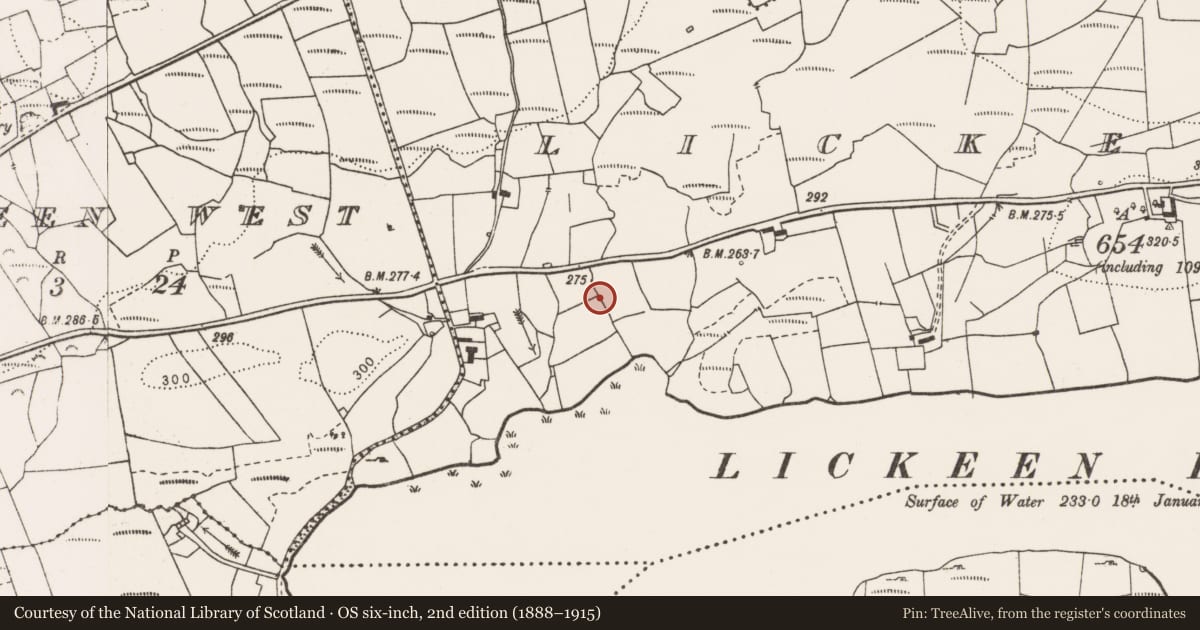 Ordnance Survey six-inch map, 2nd edition (1888–1915) covering the location of Ringfort - rath, Lickeen East, County Clare, with a pin at the register's coordinates