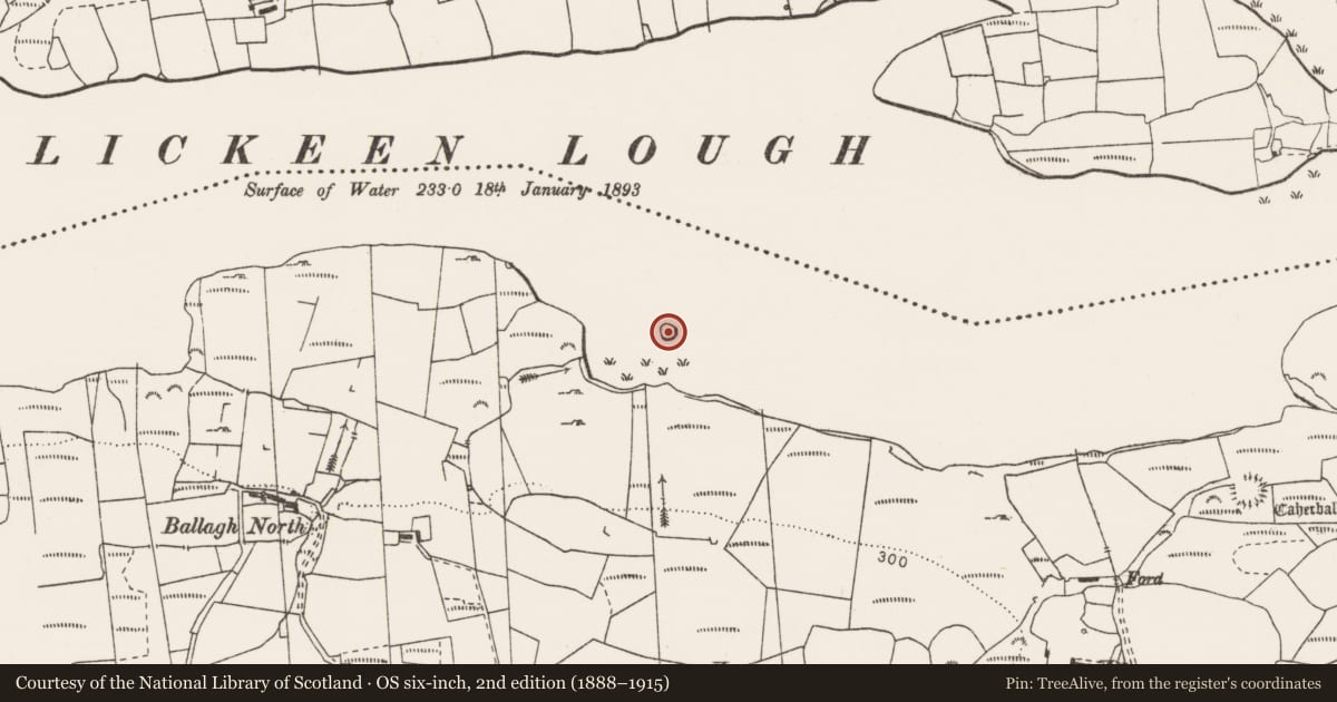 Ordnance Survey six-inch map, 2nd edition (1888–1915) covering the location of Crannog, Ballagh, County Clare, with a pin at the register's coordinates