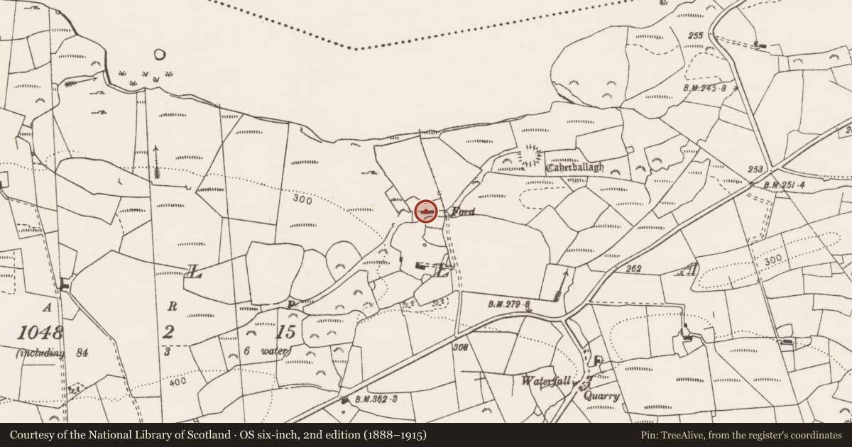 Ordnance Survey six-inch map, 2nd edition (1888–1915) covering the location of Castle - unclassified, Ballagh, County Clare, with a pin at the register's coordinates