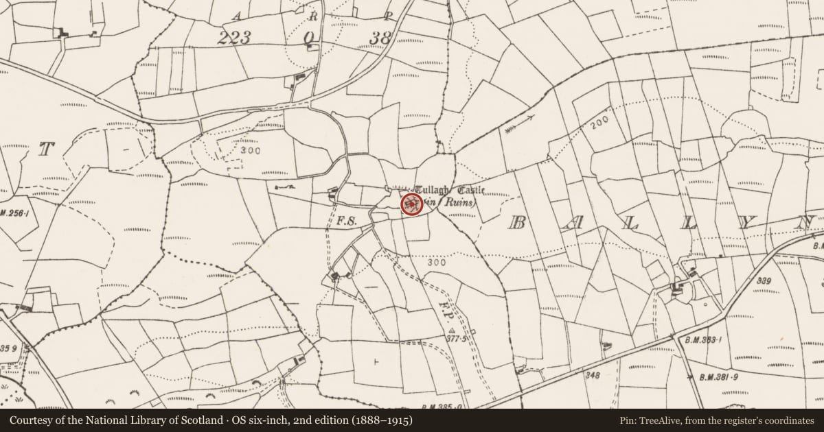 Ordnance Survey six-inch map, 2nd edition (1888–1915) covering the location of Castle - unclassified, Tullagh Upper, County Clare, with a pin at the register's coordinates