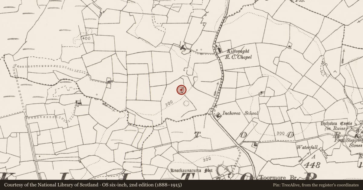 Ordnance Survey six-inch map, 2nd edition (1888–1915) covering the location of Ringfort - rath, Ballynacarhagh, County Clare, with a pin at the register's coordinates