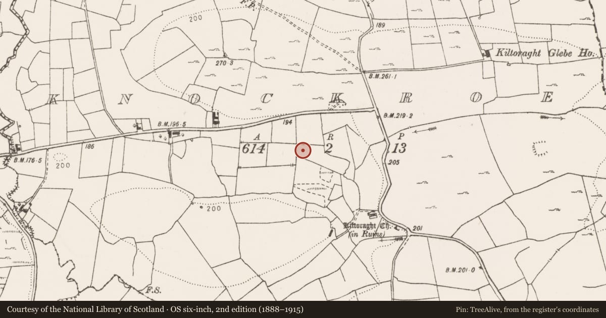 Ordnance Survey six-inch map, 2nd edition (1888–1915) covering the location of Crannog, Knockroe, County Clare, with a pin at the register's coordinates