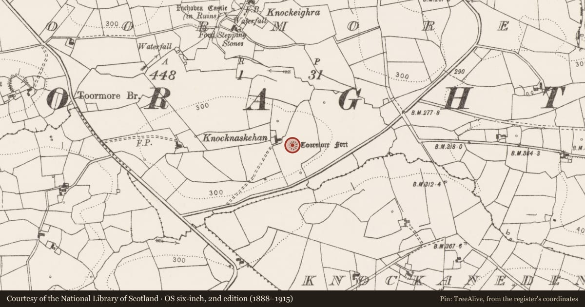 Ordnance Survey six-inch map, 2nd edition (1888–1915) covering the location of Ringfort - rath, Toormore, County Clare, with a pin at the register's coordinates