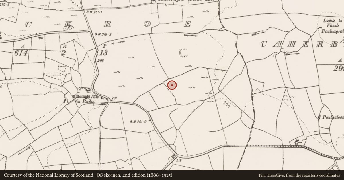 Ordnance Survey six-inch map, 2nd edition (1888–1915) covering the location of Enclosure, Knockroe, County Clare, with a pin at the register's coordinates