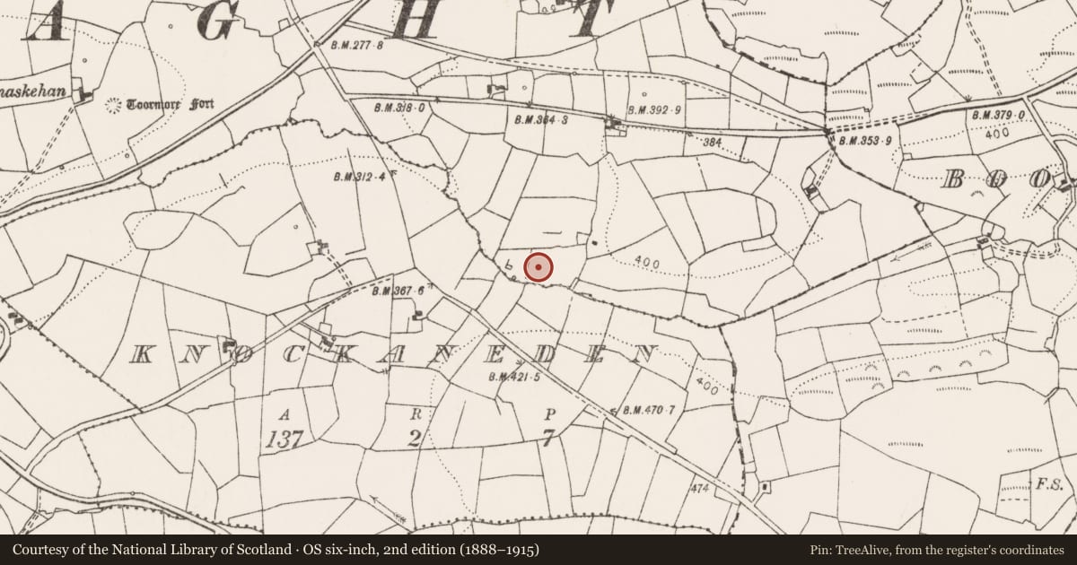 Ordnance Survey six-inch map, 2nd edition (1888–1915) covering the location of Enclosure, Toormore, County Clare, with a pin at the register's coordinates