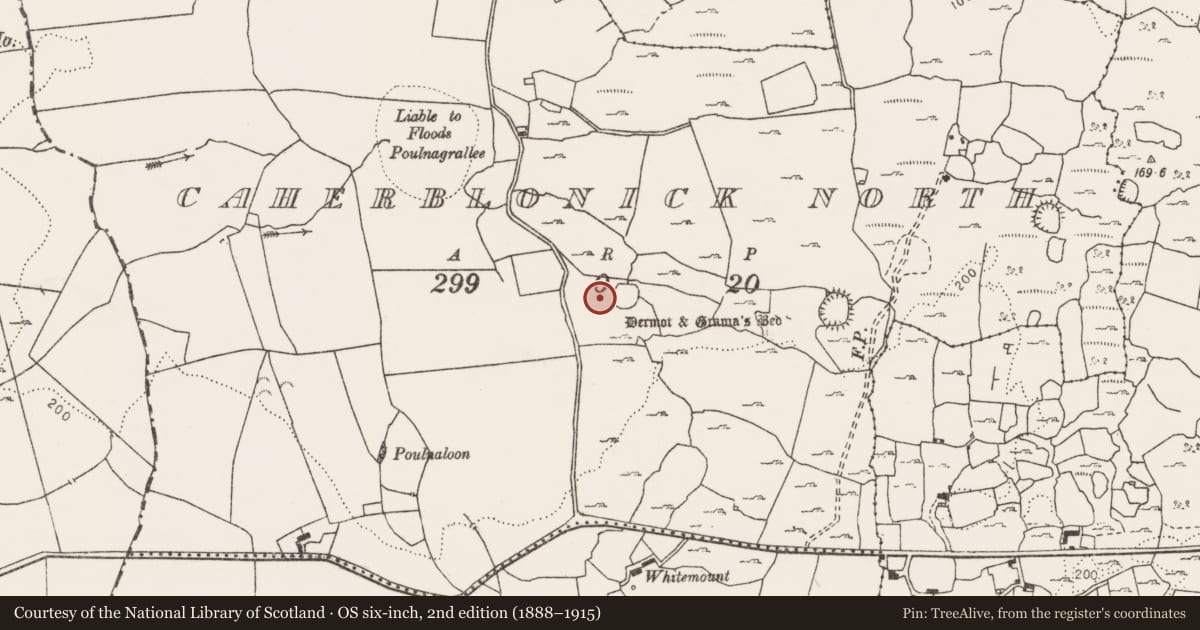 Ordnance Survey six-inch map, 2nd edition (1888–1915) covering the location of House - 18th/19th century, Caherblonick North, County Clare, with a pin at the register's coordinates