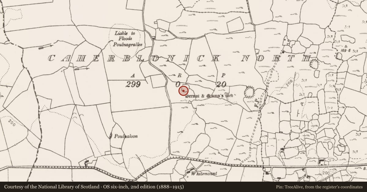 Ordnance Survey six-inch map, 2nd edition (1888–1915) covering the location of House - 18th/19th century, Caherblonick North, County Clare, with a pin at the register's coordinates