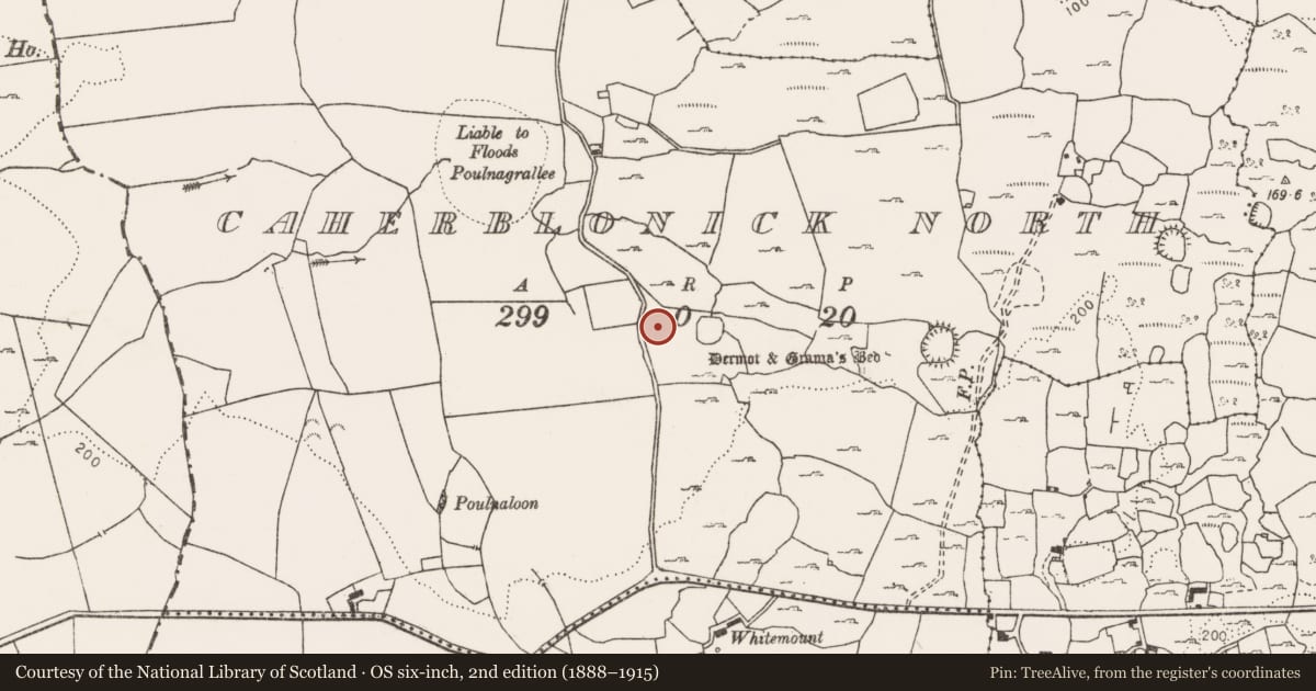Ordnance Survey six-inch map, 2nd edition (1888–1915) covering the location of House - 18th/19th century, Caherblonick North, County Clare, with a pin at the register's coordinates