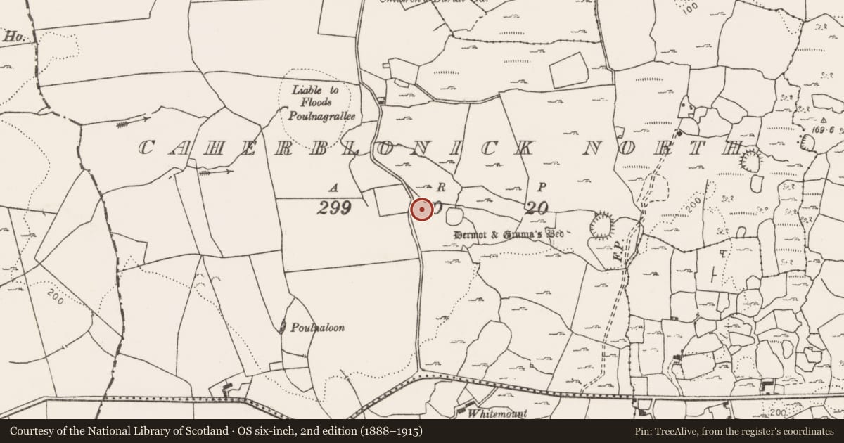 Ordnance Survey six-inch map, 2nd edition (1888–1915) covering the location of House - 18th/19th century, Caherblonick North, County Clare, with a pin at the register's coordinates
