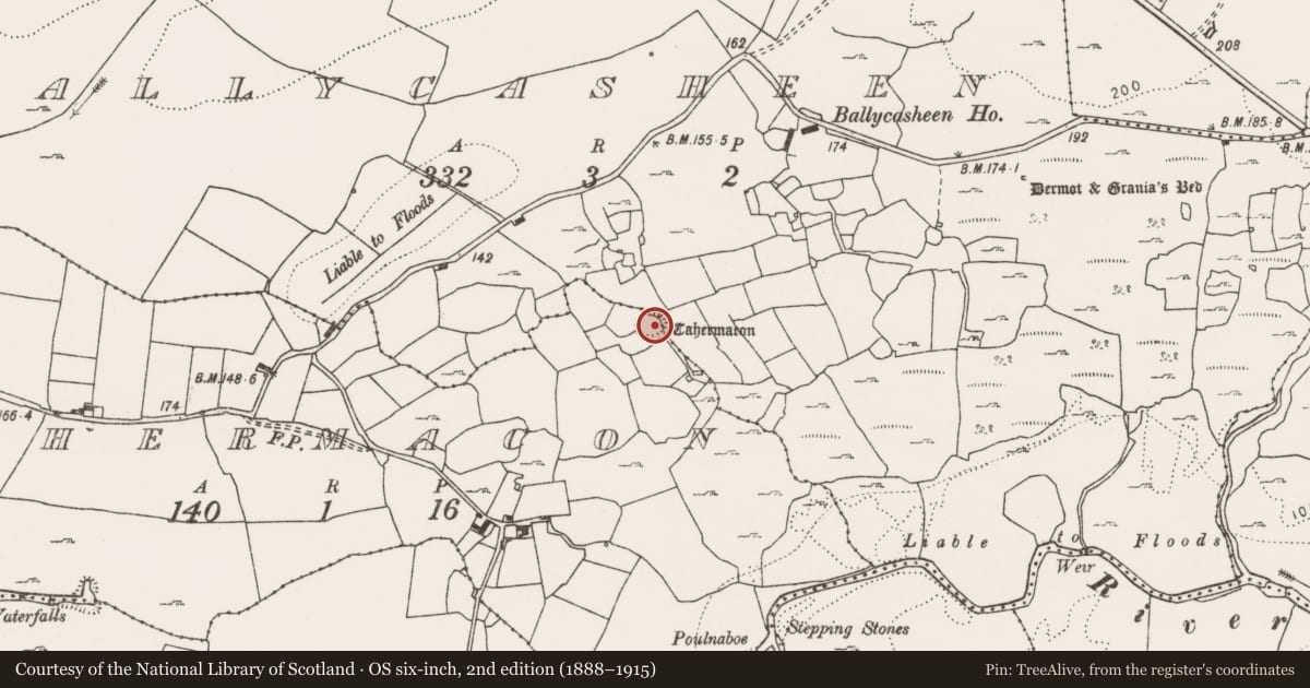 Ordnance Survey six-inch map, 2nd edition (1888–1915) covering the location of Ringfort - rath, Ballycasheen, Cahermacon, County Clare, with a pin at the register's coordinates