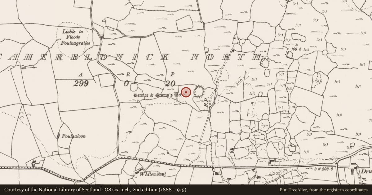 Ordnance Survey six-inch map, 2nd edition (1888–1915) covering the location of Megalithic tomb - wedge tomb, Caherblonick North, County Clare, with a pin at the register's coordinates