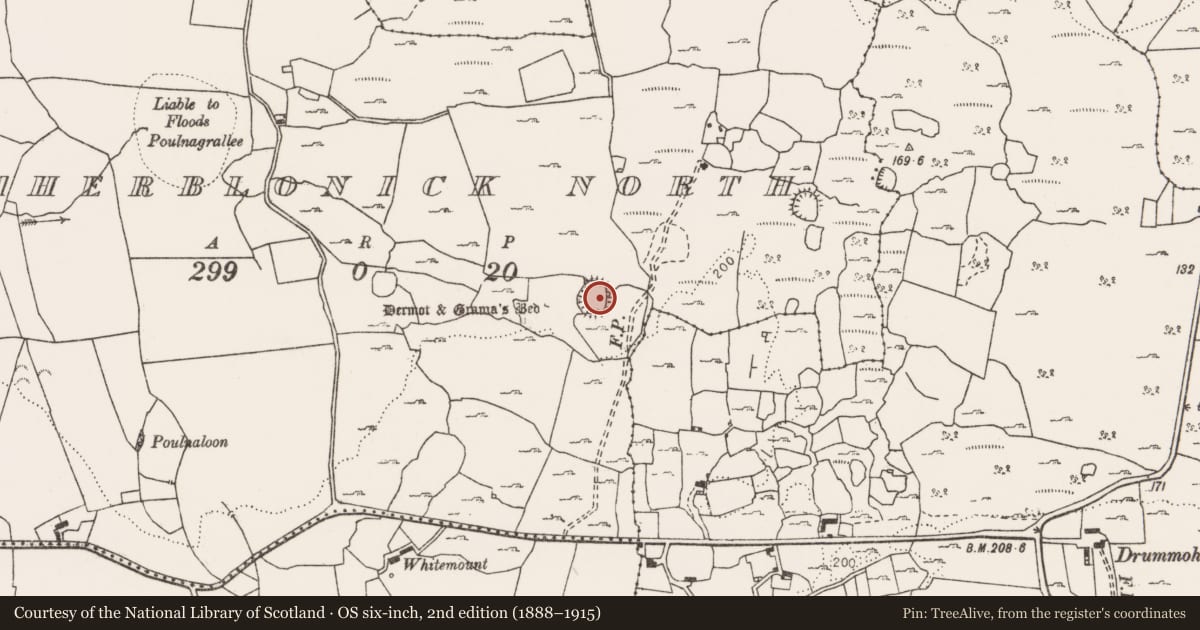 Ordnance Survey six-inch map, 2nd edition (1888–1915) covering the location of Ringfort - cashel, Caherblonick North, County Clare, with a pin at the register's coordinates