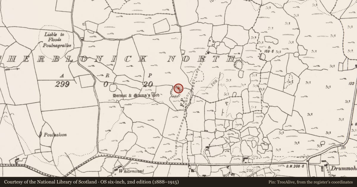 Ordnance Survey six-inch map, 2nd edition (1888–1915) covering the location of Hut site, Caherblonick North, County Clare, with a pin at the register's coordinates