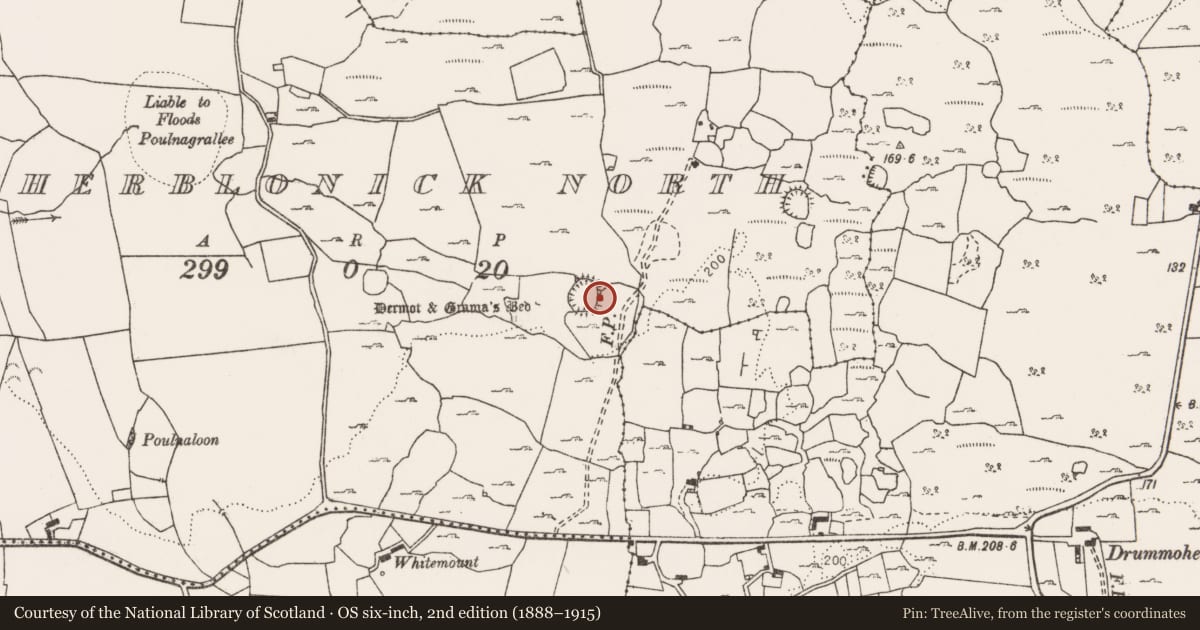 Ordnance Survey six-inch map, 2nd edition (1888–1915) covering the location of Hut site, Caherblonick North, County Clare, with a pin at the register's coordinates