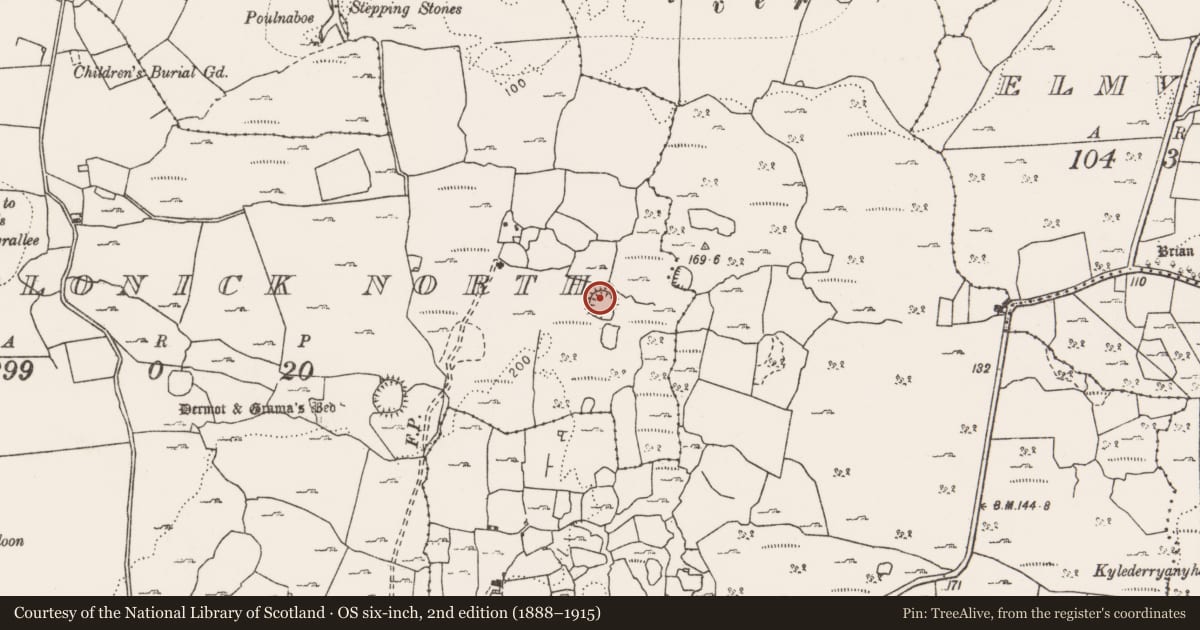 Ordnance Survey six-inch map, 2nd edition (1888–1915) covering the location of Hut site, Caherblonick North, County Clare, with a pin at the register's coordinates