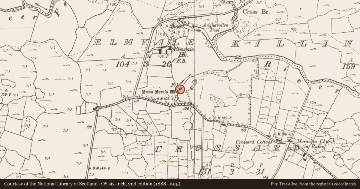 Ordnance Survey six-inch map, 2nd edition (1888–1915) covering the location of Well, Elmvale, County Clare, with a pin at the register's coordinates