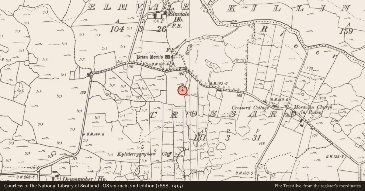 Ordnance Survey six-inch map, 2nd edition (1888–1915) covering the location of Ringfort - cashel, Crossard, County Clare, with a pin at the register's coordinates