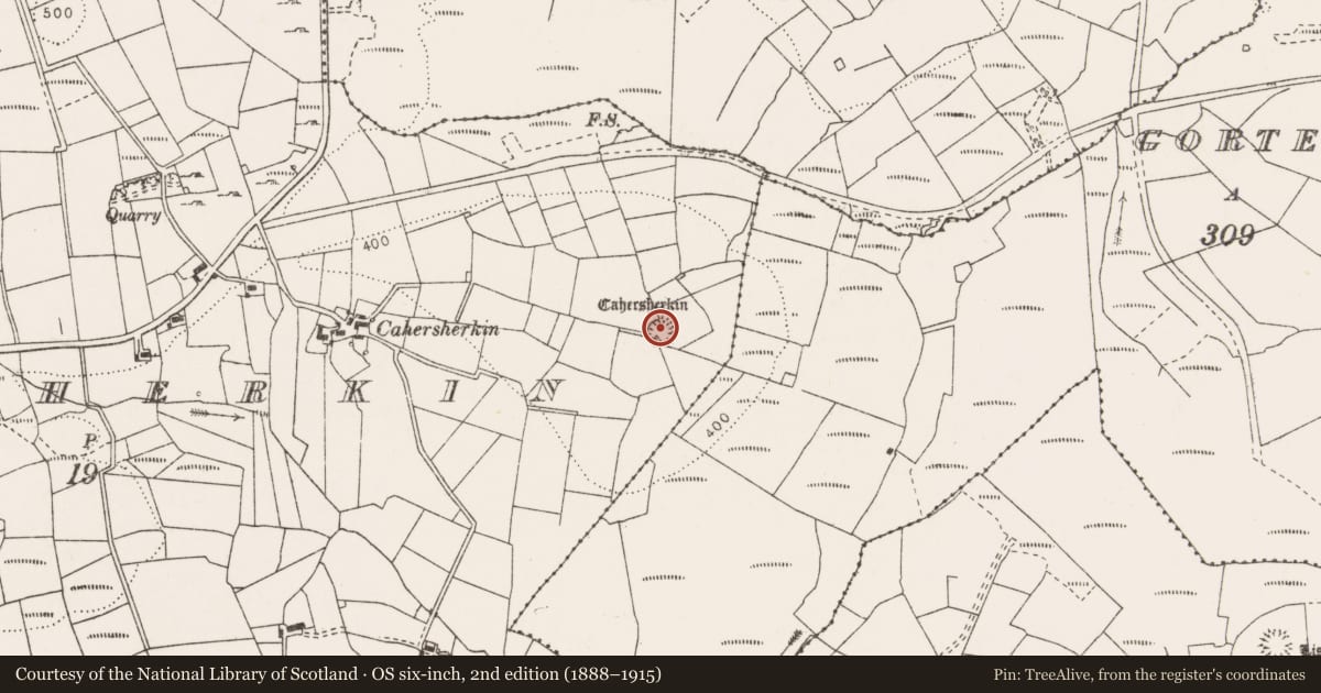Ordnance Survey six-inch map, 2nd edition (1888–1915) covering the location of Ringfort - rath, Cahersherkin, County Clare, with a pin at the register's coordinates