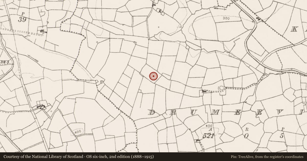 Ordnance Survey six-inch map, 2nd edition (1888–1915) covering the location of Ringfort - rath, Drumeevin, County Clare, with a pin at the register's coordinates