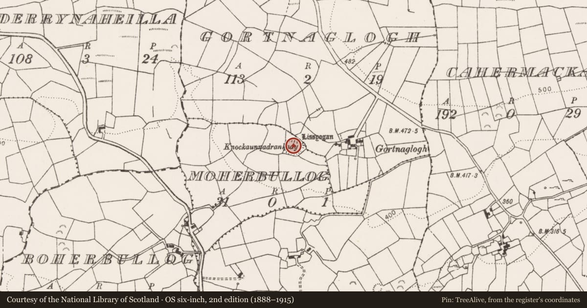 Ordnance Survey six-inch map, 2nd edition (1888–1915) covering the location of Ringfort - rath, Moherbullog, County Clare, with a pin at the register's coordinates
