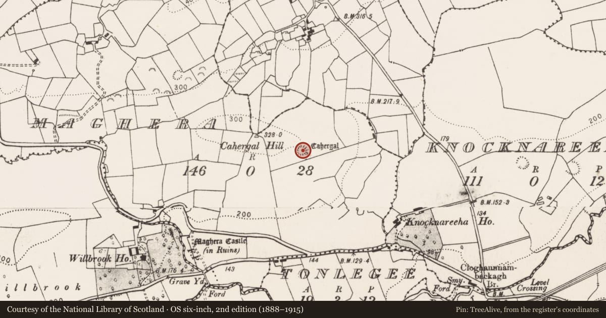 Ordnance Survey six-inch map, 2nd edition (1888–1915) covering the location of Ringfort - rath, Maghera, County Clare, with a pin at the register's coordinates