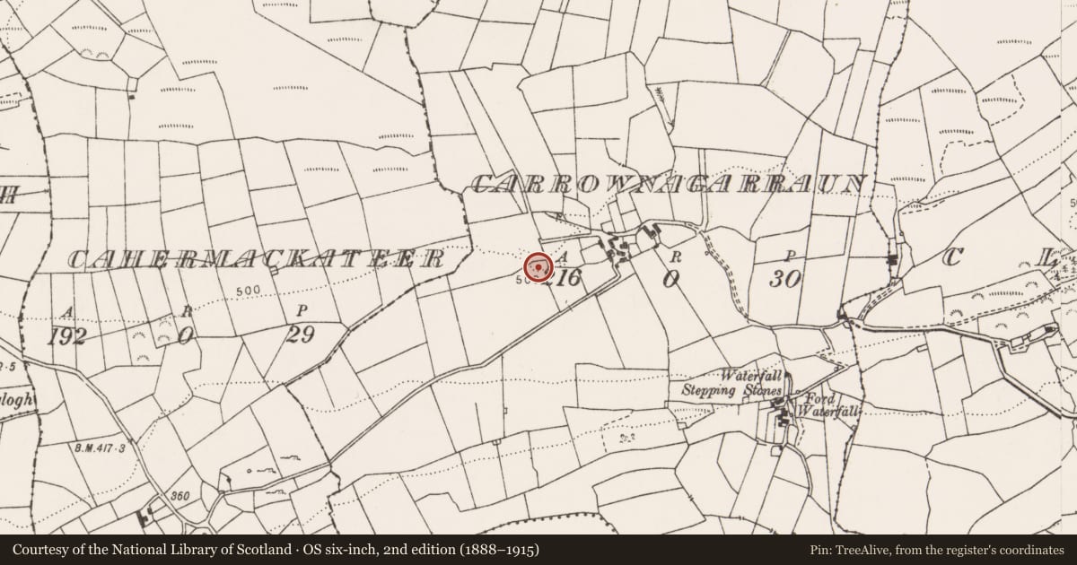 Ordnance Survey six-inch map, 2nd edition (1888–1915) covering the location of Ringfort - rath, Carrownagarraun, County Clare, with a pin at the register's coordinates