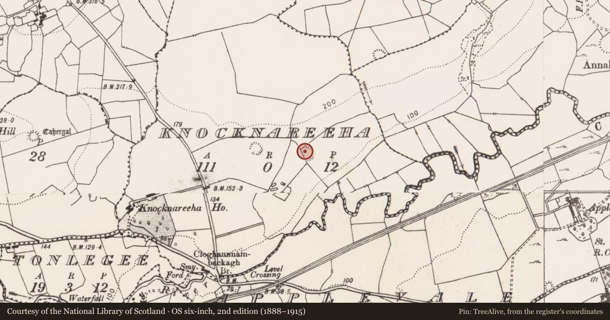 Ordnance Survey six-inch map, 2nd edition (1888–1915) covering the location of Ringfort - rath, Knocknareeha, County Clare, with a pin at the register's coordinates