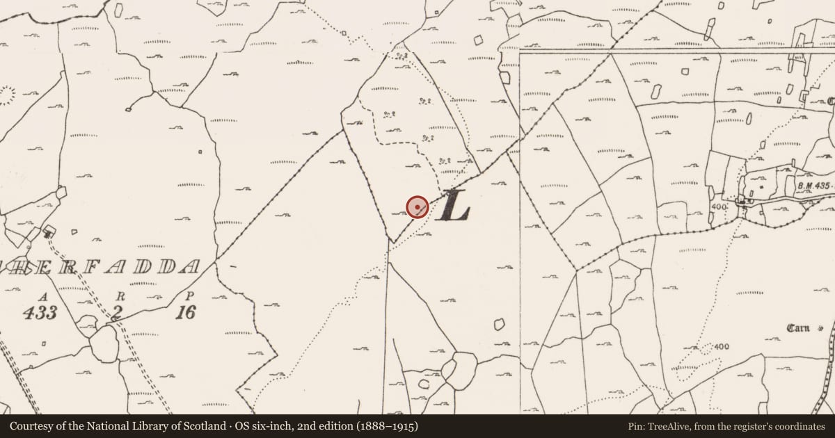 Ordnance Survey six-inch map, 2nd edition (1888–1915) covering the location of Megalithic tomb - wedge tomb, Caherfadda, County Clare, with a pin at the register's coordinates