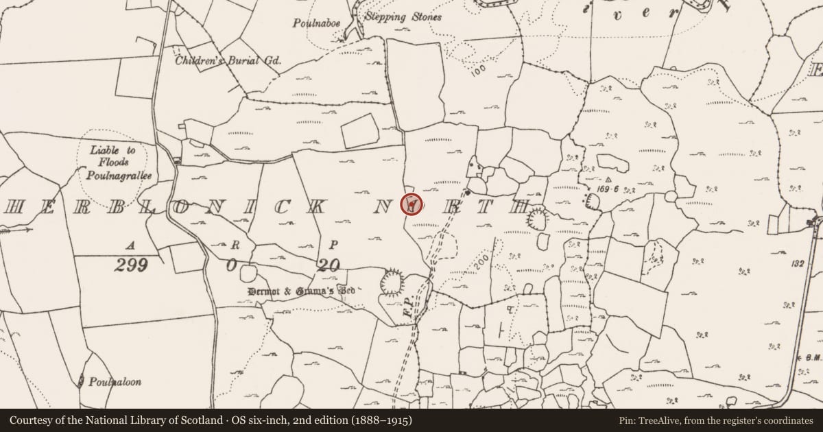 Ordnance Survey six-inch map, 2nd edition (1888–1915) covering the location of Cairn - unclassified, Caherblonick North, County Clare, with a pin at the register's coordinates