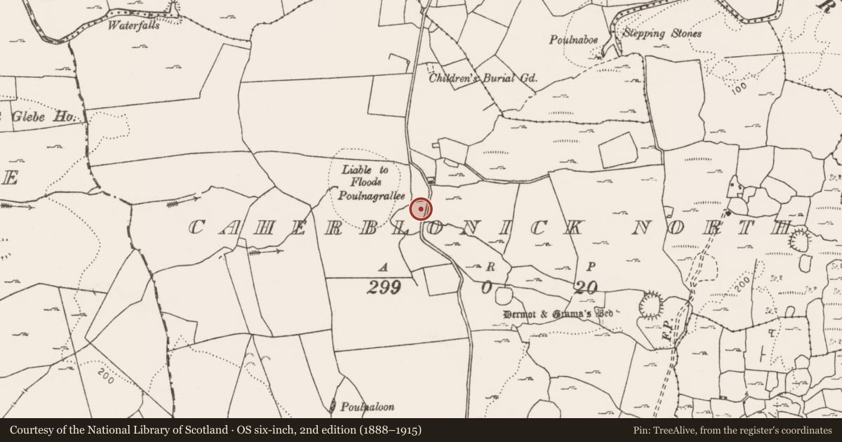 Ordnance Survey six-inch map, 2nd edition (1888–1915) covering the location of Ringfort - cashel, Caherblonick North, County Clare, with a pin at the register's coordinates