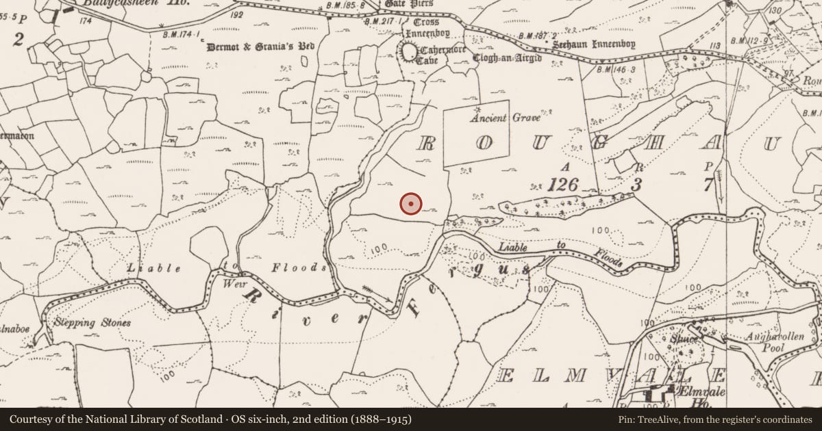 Ordnance Survey six-inch map, 2nd edition (1888–1915) covering the location of Standing stone, Roughaun, County Clare, with a pin at the register's coordinates