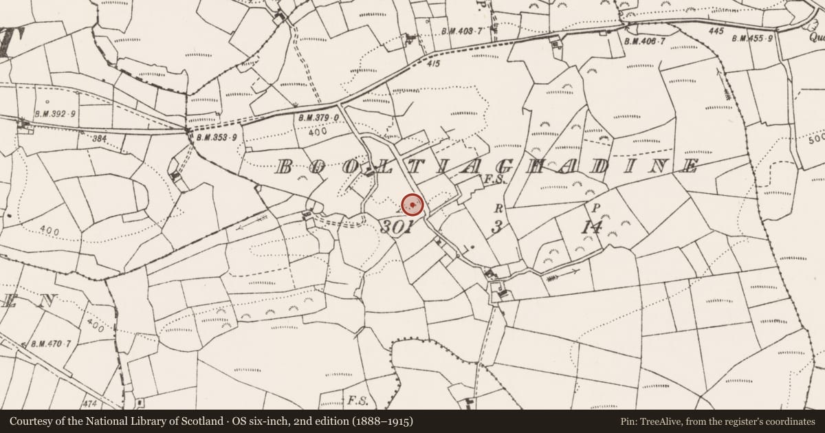 Ordnance Survey six-inch map, 2nd edition (1888–1915) covering the location of Barrow - ring-barrow, Booltiaghadine, County Clare, with a pin at the register's coordinates