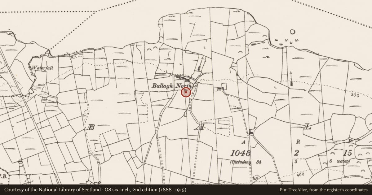 Ordnance Survey six-inch map, 2nd edition (1888–1915) covering the location of Fulacht fia, Ballagh, County Clare, with a pin at the register's coordinates