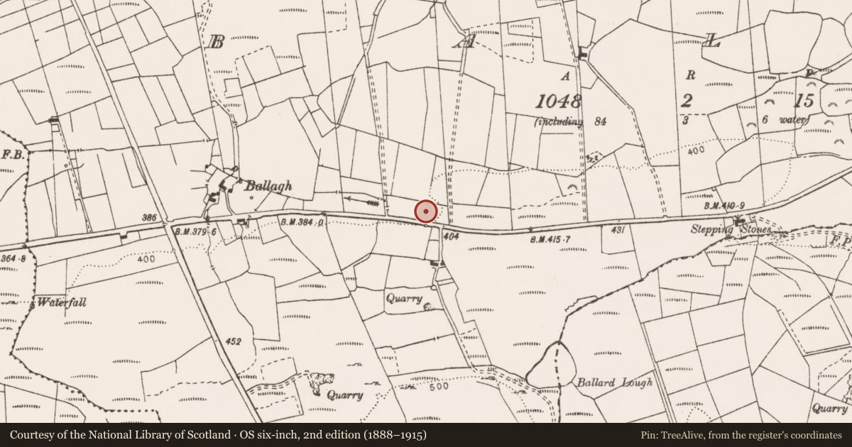 Ordnance Survey six-inch map, 2nd edition (1888–1915) covering the location of Fulacht fia, Ballagh, County Clare, with a pin at the register's coordinates