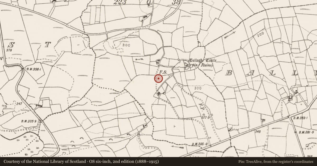 Ordnance Survey six-inch map, 2nd edition (1888–1915) covering the location of Fulacht fia, Tullagh Upper, County Clare, with a pin at the register's coordinates