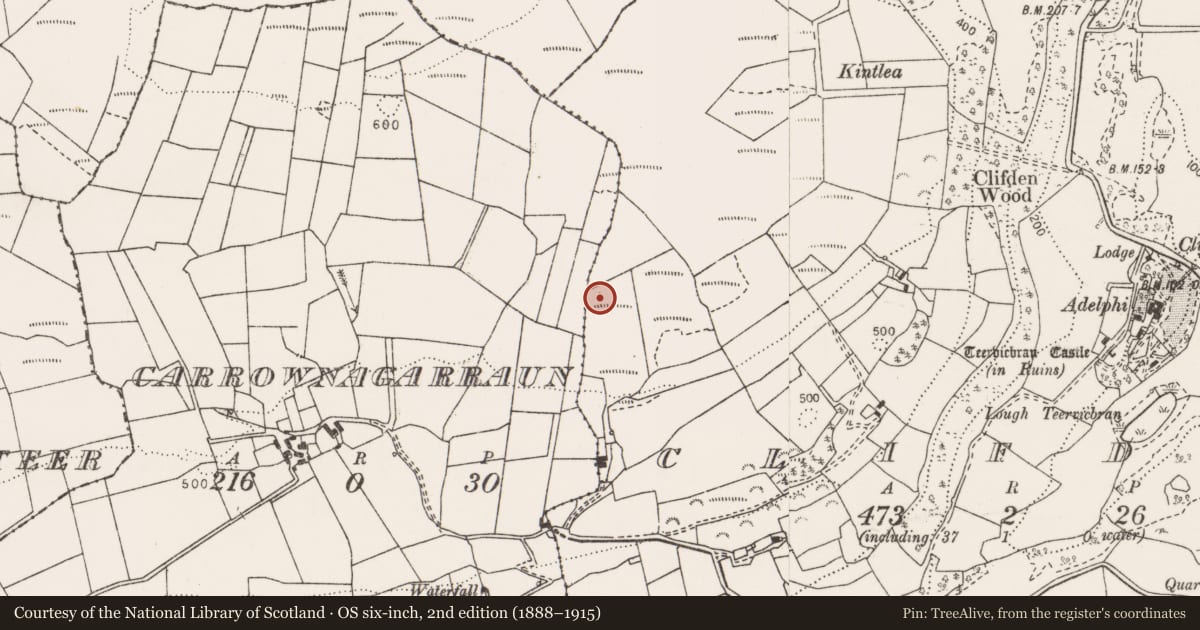 Ordnance Survey six-inch map, 2nd edition (1888–1915) covering the location of Enclosure, Clifden, County Clare, with a pin at the register's coordinates