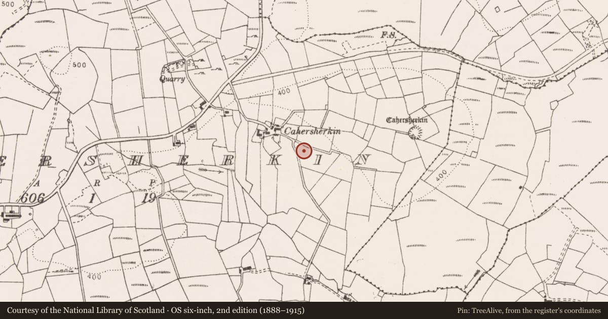 Ordnance Survey six-inch map, 2nd edition (1888–1915) covering the location of Penitential station, Cahersherkin, County Clare, with a pin at the register's coordinates