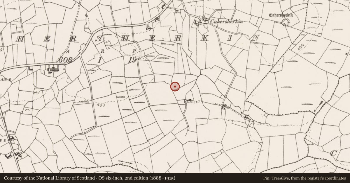 Ordnance Survey six-inch map, 2nd edition (1888–1915) covering the location of Ringfort - rath, Cahersherkin, County Clare, with a pin at the register's coordinates