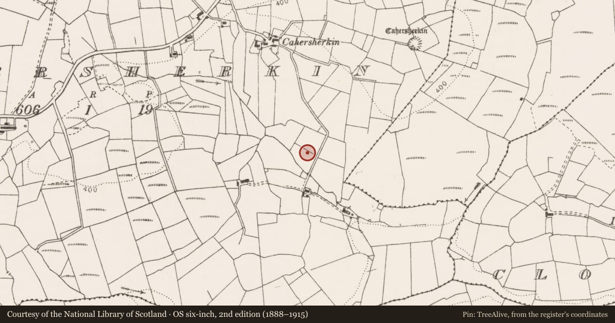 Ordnance Survey six-inch map, 2nd edition (1888–1915) covering the location of Burial, Cahersherkin, County Clare, with a pin at the register's coordinates