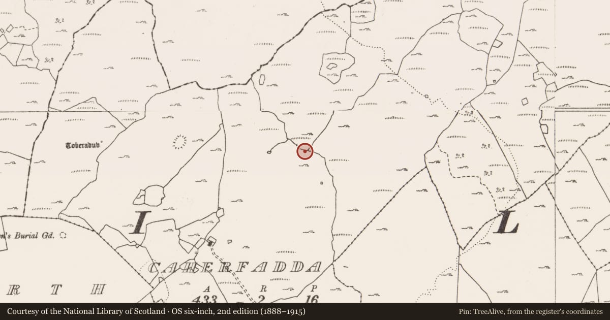 Ordnance Survey six-inch map, 2nd edition (1888–1915) covering the location of Megalithic tomb - wedge tomb, Caherfadda, County Clare, with a pin at the register's coordinates