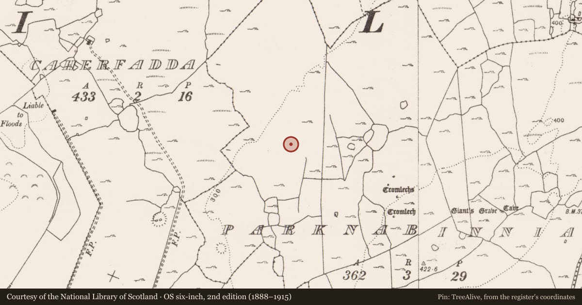 Ordnance Survey six-inch map, 2nd edition (1888–1915) covering the location of Ringfort - cashel, Parknabinnia, County Clare, with a pin at the register's coordinates