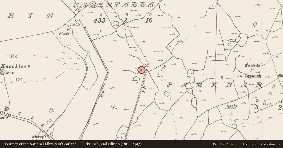 Ordnance Survey six-inch map, 2nd edition (1888–1915) covering the location of Ringfort - cashel, Caherfadda, County Clare, with a pin at the register's coordinates