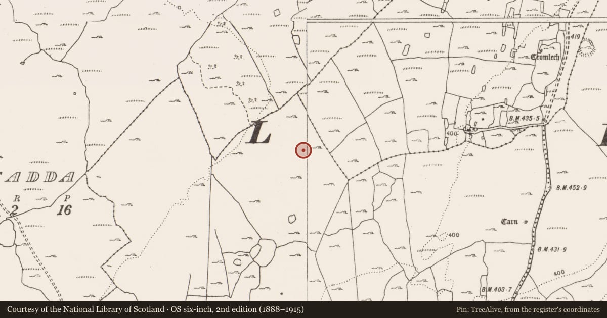 Ordnance Survey six-inch map, 2nd edition (1888–1915) covering the location of House - Bronze Age, Parknabinnia, County Clare, with a pin at the register's coordinates