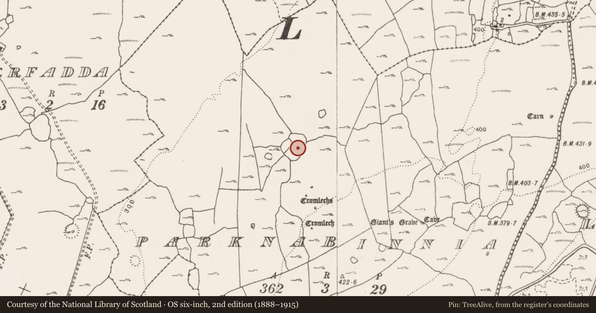 Ordnance Survey six-inch map, 2nd edition (1888–1915) covering the location of Enclosure, Parknabinnia, County Clare, with a pin at the register's coordinates