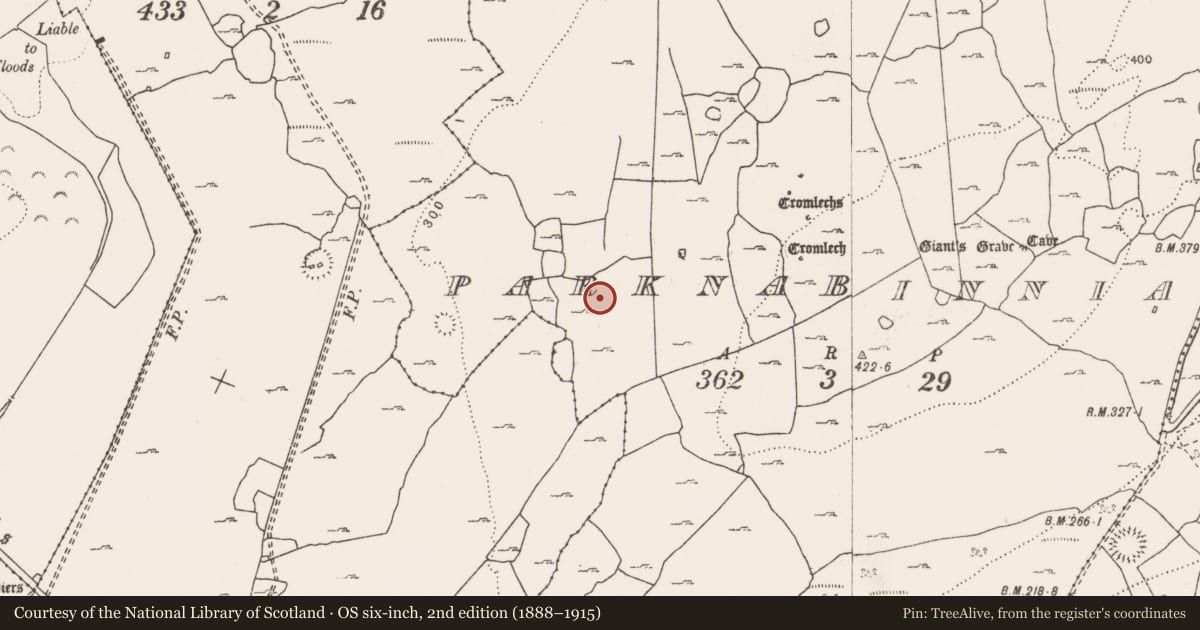 Ordnance Survey six-inch map, 2nd edition (1888–1915) covering the location of Enclosure, Parknabinnia, County Clare, with a pin at the register's coordinates
