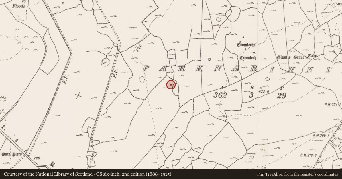 Ordnance Survey six-inch map, 2nd edition (1888–1915) covering the location of Enclosure, Parknabinnia, County Clare, with a pin at the register's coordinates