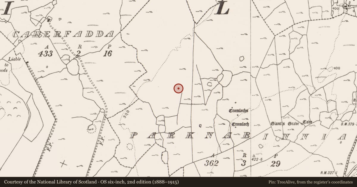 Ordnance Survey six-inch map, 2nd edition (1888–1915) covering the location of Enclosure, Parknabinnia, County Clare, with a pin at the register's coordinates