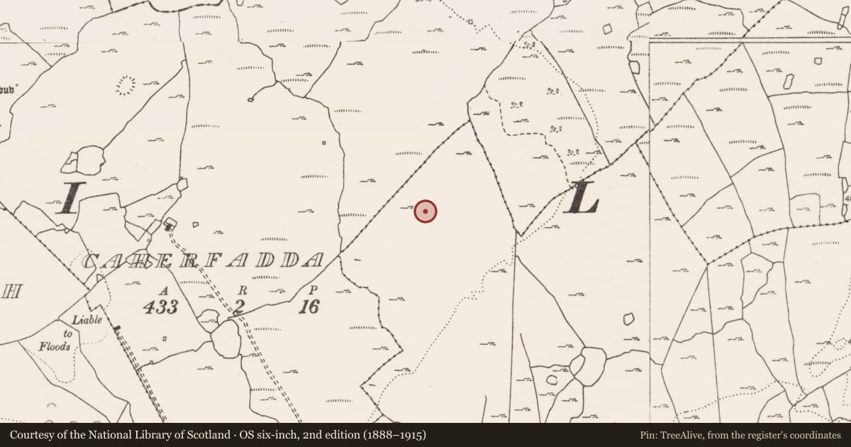 Ordnance Survey six-inch map, 2nd edition (1888–1915) covering the location of Cairn - unclassified, Parknabinnia, County Clare, with a pin at the register's coordinates
