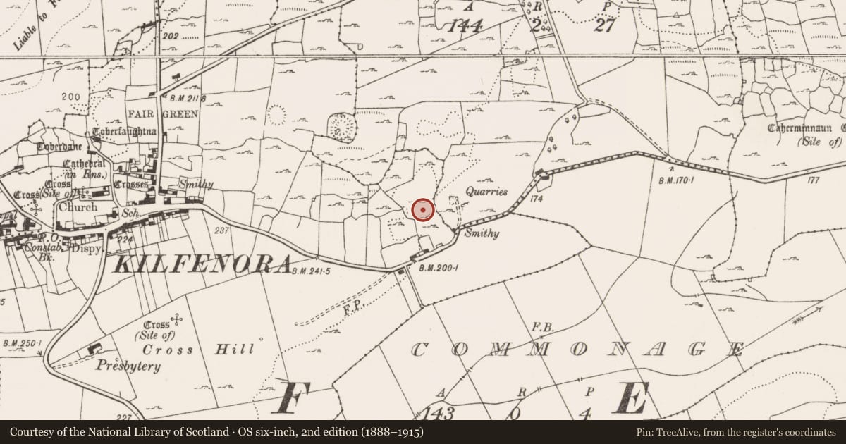 Ordnance Survey six-inch map, 2nd edition (1888–1915) covering the location of Enclosure, Kilfenora, County Clare, with a pin at the register's coordinates