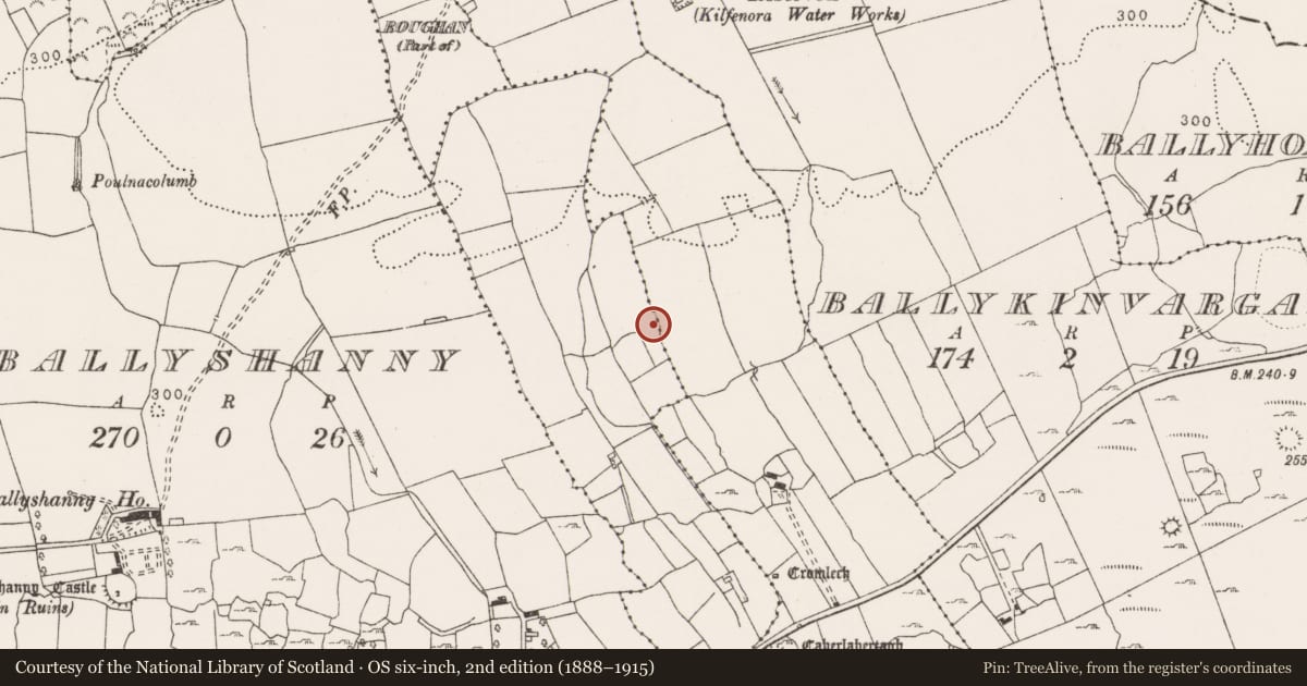 Ordnance Survey six-inch map, 2nd edition (1888–1915) covering the location of Enclosure, Caherminnaun West, County Clare, with a pin at the register's coordinates